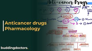 Anticancer drugs pharmacology  anticancer drugs [upl. by Rodina]