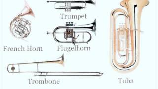 Instrument Families [upl. by Ardnasirhc]