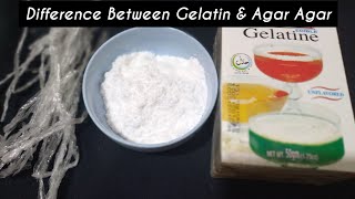 Difference between Gelatin and AgarAgar  Gelatin Powder Kya hai  Homemade Halal Gelatin [upl. by Llednol]