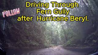 Driving through Fern Gully just after the passage of Hurricane Beryl in Jamaica [upl. by Neenwahs780]