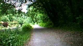 Cycling from Bath to Trowbridge along the Canal [upl. by Koziel]