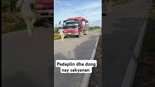 Padaplin dong followforfollowback subscribe editing [upl. by Ackerley]