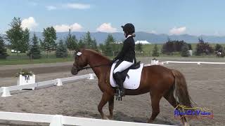 624D Mary Isabel Tracy on Lyrical Lightning JR Beginner Novice Dressage Rebecca Farm July 2024 [upl. by Pillsbury]