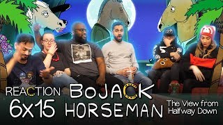 Bojack Horseman  6x15 The View From Halfway Down  Group Reaction [upl. by Ramedlav]