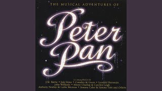 Never Never Land From The Musical quotPeter Panquot [upl. by Hiroko]