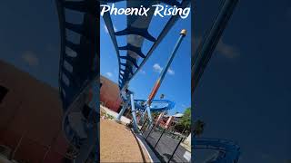 Phoenix Rising buschgardensflorida familyfun rollercoaster buschgardens familycoaster [upl. by Cortie]