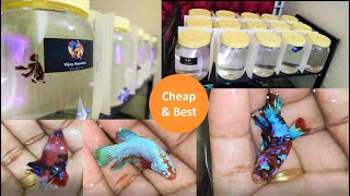 Easy to Bottle Betta Fish  Low price amp High efficiency  Tamil [upl. by Llerrac]