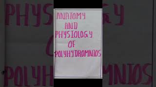 case presentation on polyhydramnios  obstetrics and gynaecology nursing [upl. by Askwith]