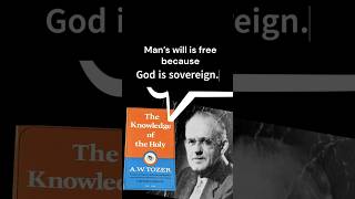 AW Tozer on Prevenient Grace Sovereignty amp Repentance [upl. by Aivat144]