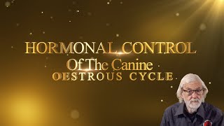 CANINE OESTROUS CYCLE HORMONAL CONTROL [upl. by Maynord]