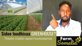 Sidee loodhisaa GREENHOUSE Sida loo dhiso Greenhose ayaan tusaynaa beeralayda soomaaliyeed [upl. by Anait337]