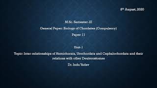 Inter relationship of Hemichorata Urochordata and Ciphalochordata I [upl. by Arette]