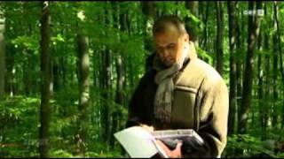 Was wurde aus dem Waldsterben  Österreich  Report ORF  572011  55 [upl. by Tymon576]