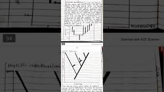 Phylogenetic gradualism and punctuated equilibrium msc zoology 1sem msc zoology notes [upl. by Adrahc]