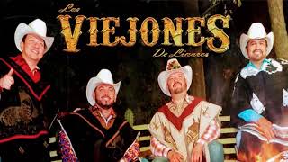 Los Viejones de Linares  Puras Cumbias 2021 [upl. by Anelej]