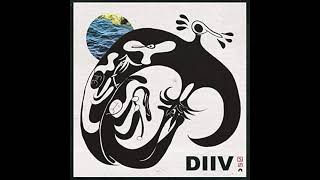 DIIV  Doused Bass Cover [upl. by Gustave]