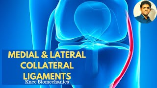 MEDIAL amp LATERAL COLLATERAL LIGAMENTS  Anatomy amp Biomechanics applied [upl. by Irakuy]