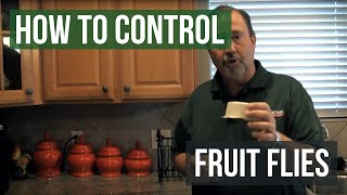 How to Control Fruit Flies [upl. by Elolcin]