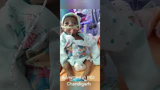 14 kg Premature Baby journey  Born at 29 weeks  newbornbaby29weeksprematurebaby [upl. by Neerod632]