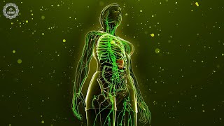 Lymphatic Drainage  Remove Waste amp Toxins From The Body  Boost Immune System Overcome Inflammation [upl. by Enirehtac]