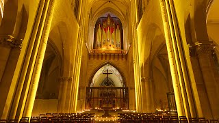 Magdeburger Dom Mayday 2015  Woody  Auferstanden aus Ruinen Nationalhymne ExDDR [upl. by Christye]