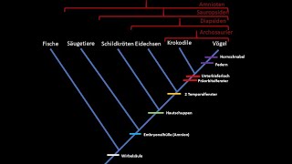 Kladistik Tutorial phylogenetische Systematik [upl. by Liam]