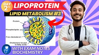 lipoprotein biochemistry  biochemistry of lipoprotein classification  lipoprotein metabolism [upl. by Aytnahs]