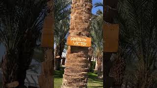 Menaville Resort Safaga Hotel Abu Soma [upl. by Noslien104]