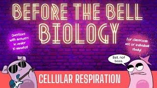 Cellular Respiration Before the Bell Biology [upl. by Yelahs]