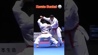 Karate Bunkai 🥋 👊 karate martialarts kicks viralvideo viralvideos viralshort viralshorts [upl. by Notluf540]