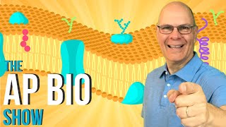 Crush it in AP Bio with the AP Bio Show Ep 6 Cell Membranes [upl. by Bertila]