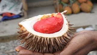 How To Eat A Durian AKA The King Of Fruits [upl. by Cosetta882]