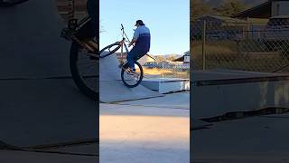 SE Big Flyer  29” BMX Tricks bmx sebikes bikelife [upl. by O'Toole]