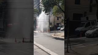 URGENTE  ESTOUROU CANO DA RUA [upl. by Einnad271]