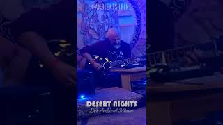 quotDesert Nightsquot  Ambient Shrine Live at SAL 2024 Music Festival [upl. by Nedlog603]