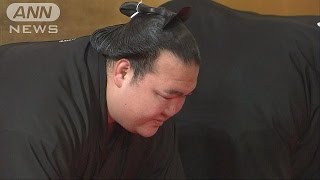 稀勢の里「名に恥じぬよう精進」 横綱昇進伝達式170125 [upl. by Jinny555]