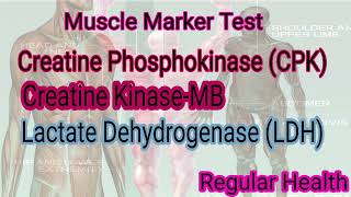 Muscle Marker Test muscular Marker Test CPK CK MB LDH Test [upl. by Pelag]