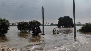 Nellore penna river flood area from buchireddy palem💤🎥🌊 [upl. by Idieh]