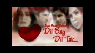 Dilse dil tak PTV home drama Official song SHAAKII [upl. by Eenal]