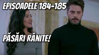 Levent ALEGE SĂ SE CĂSĂTOREASCĂ cu Melis Meryem este DEVASTATĂ O LOVEȘTE Păsări rănite ep 184185 [upl. by Agbogla554]