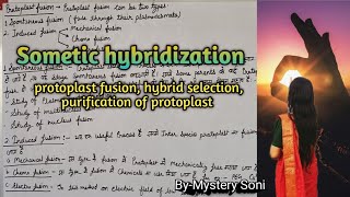 BScMSc Sometic hybridization Purification of protoplast fusion hybrid selection [upl. by Liddle]