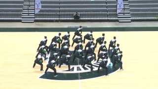 Collegiate Pompon Championship 2014  Michigan State University Pompon [upl. by Enelrahs]