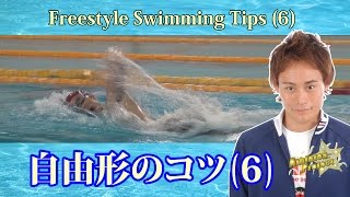 【自由形】クロールで水を掴む感覚｜自由形のコツ6〜クロススイム〜【泳ぎ方】【水泳】 [upl. by Ailbert382]