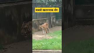 md kalam comedy Kalam short video Kalam channel Jharkhandi videoPatna ka chidiyaghar Patna zoo [upl. by Naejamron]