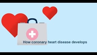 How coronary heart disease atherosclerosis develops  Bupa Health [upl. by Lewis]