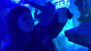 THE ICE BAR Amsterdam [upl. by Aryhs268]