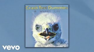 Crash Test Dummies  Overachievers Official Audio [upl. by Salot]