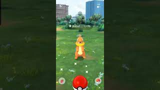 Pokemon GO  Slowpoke Eevee Buizel Shellos Cutiefly Fomantis  2024 [upl. by Eelrahs435]