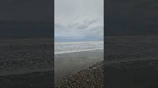 Agate Beach Haida Gwaii shorts haidagwaii [upl. by Einnol]