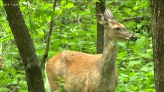 Signs of the season at MN National Wildlife Refuge in Bloomington [upl. by Hamal]